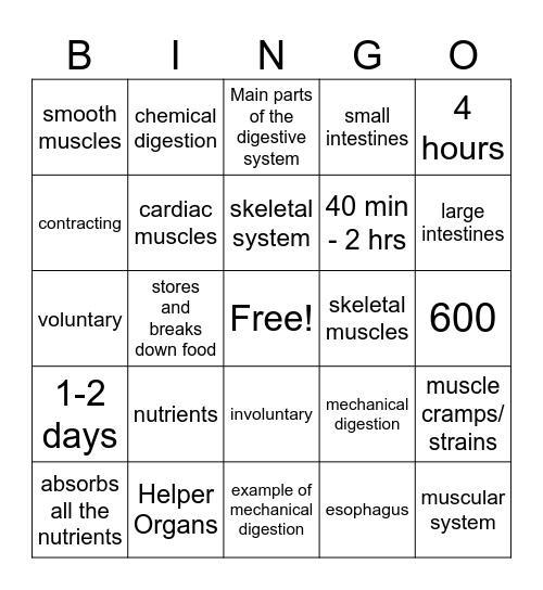 Digestive & Muscular System Bingo Card