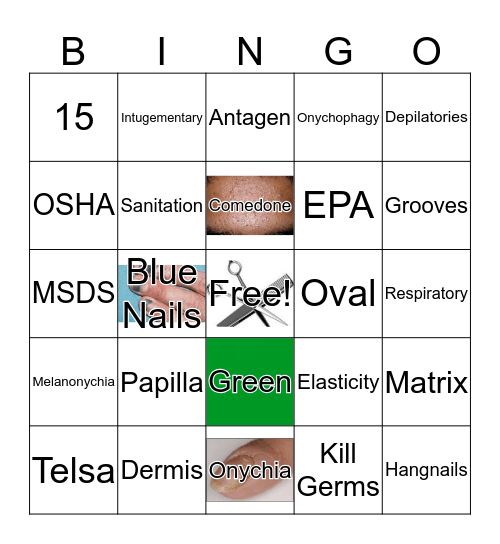 State Board Review Packet Bingo Card
