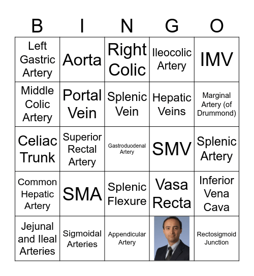 GI Anatomy Vasculature Bingo Card
