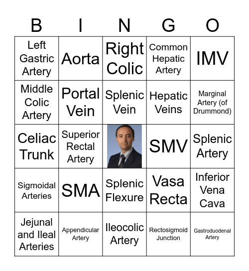 GI Anatomy Vasculature Bingo Card