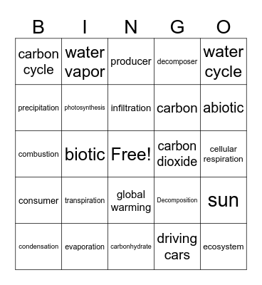 Water and Carbon Cycle Bingo Card