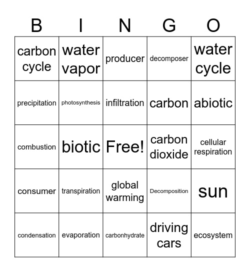 Water and Carbon Cycle Bingo Card