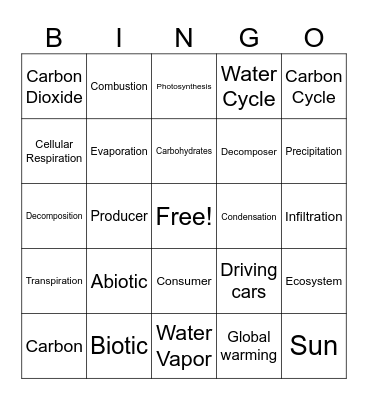 Water Cycle and Carbon Cycle Review Bingo Card