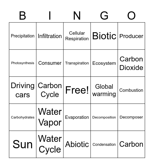 Water Cycle and Carbon Cycle Bingo Card