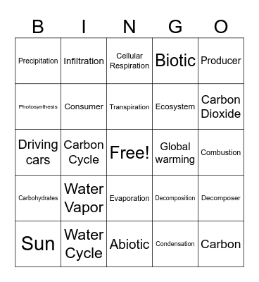Water Cycle and Carbon Cycle Bingo Card