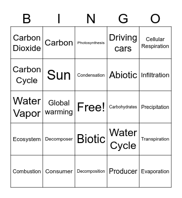 Water Cycle and Carbon Cycle Review Bingo Card