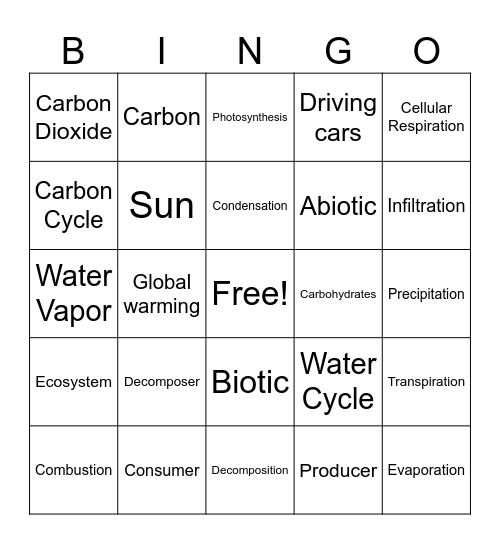 Water Cycle and Carbon Cycle Review Bingo Card