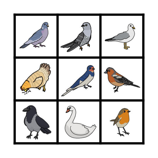 Fågel Bingo Card