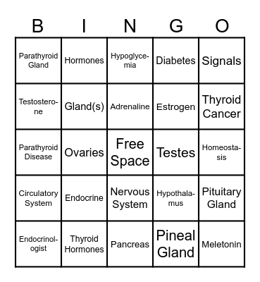 Endocrine System Bingo Card