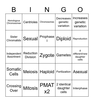 Meiosis Bingo Card