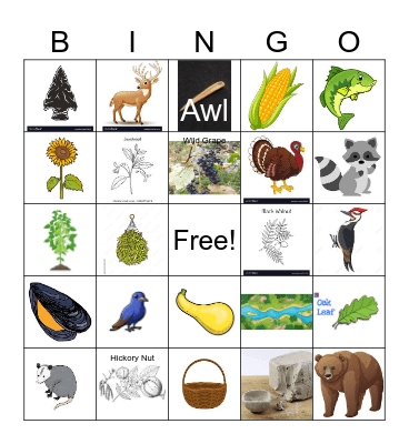 Jr. Naturalist Bingo Card