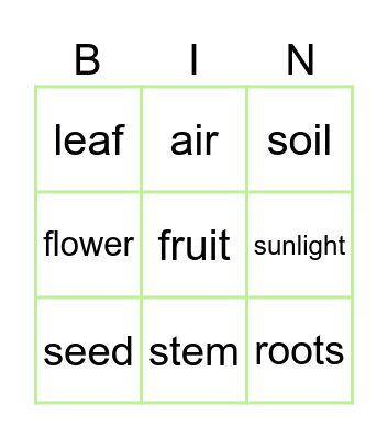 Plants Parts and Needs Bingo Card