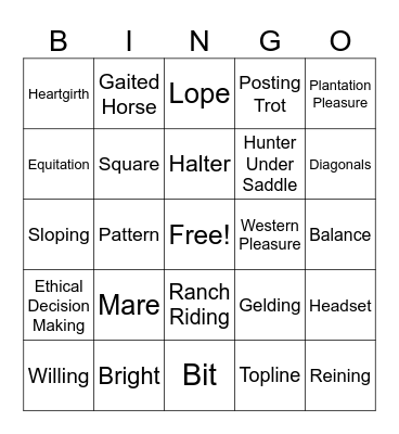 Horse Judging Bingo Card