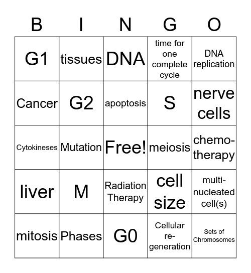 The Cell Cycle Bingo Card