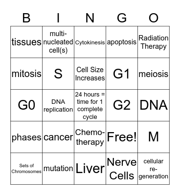 The Cell Cycle Bingo Card