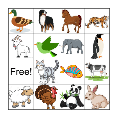 Animals Bingo Card