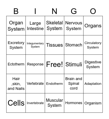 Animal Organization Bingo Card