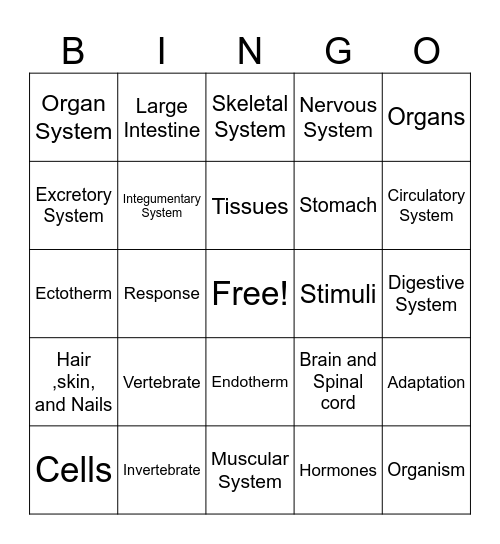 Animal Organization Bingo Card