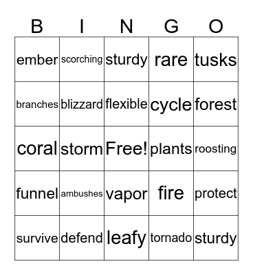 Fun Day! Bingo Card