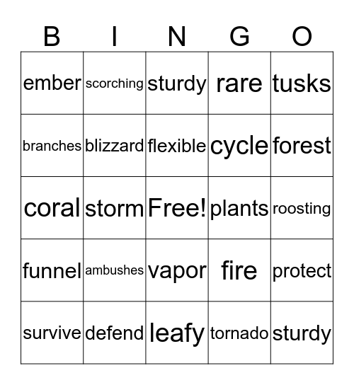 Fun Day! Bingo Card