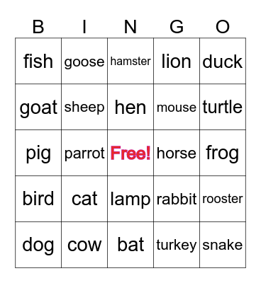 Bingo animals Bingo Card