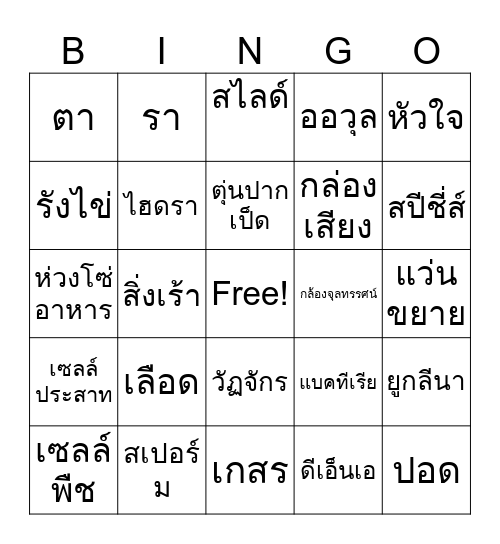 BIOLOGY Bingo Card