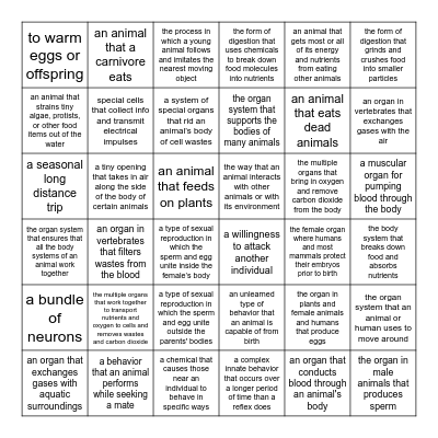 Animal Structure, Functions, Reproduction Definitions Bingo Card