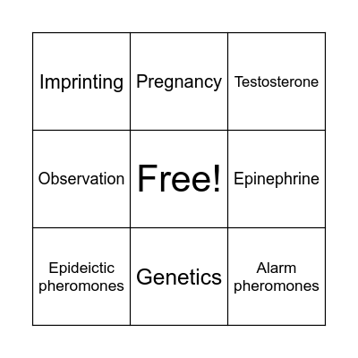 Animal Behavior Bingo Card
