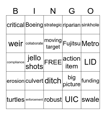 STORMWATER Bingo Card