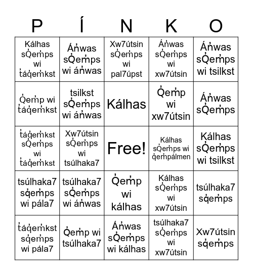 ST̓ÁT̓IMCETS Bingo Card