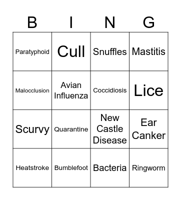 Small Animal Disease Bingo Card