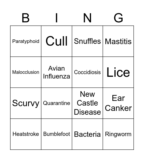 Small Animal Disease Bingo Card