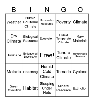 The Environment Bingo Card