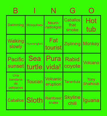 Costa Rica 2024 Bingo Card