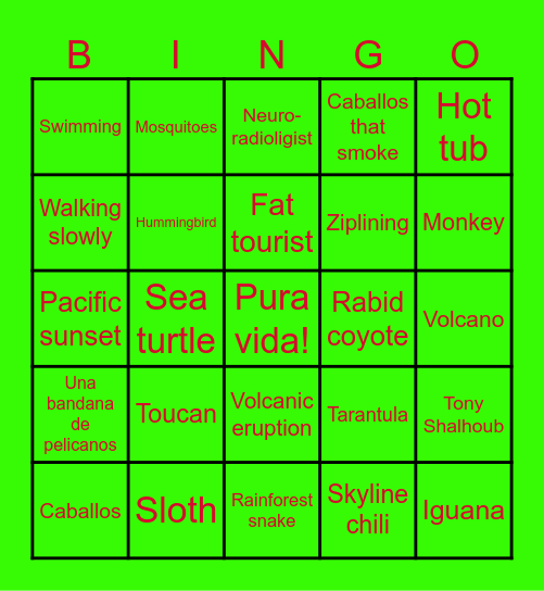 Costa Rica 2024 Bingo Card