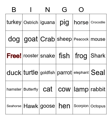 animals  Bingo Card
