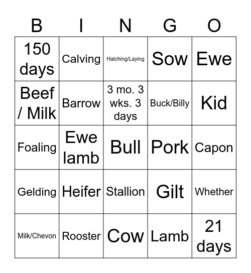 Livestock Terminology Bingo Card