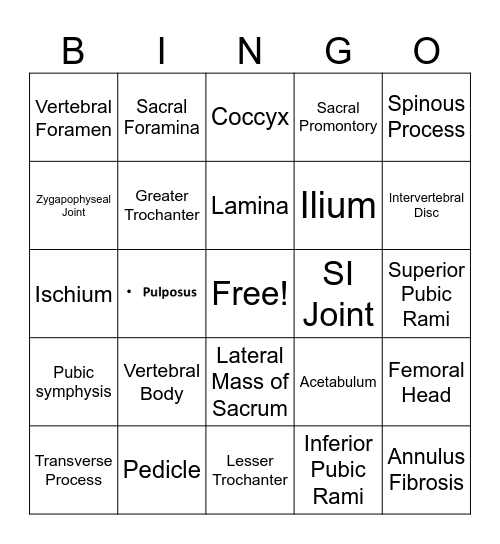 Bony Abdomen and Pelvis Bingo Card