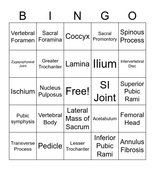 Bony Abdomen and Pelvis Bingo Card