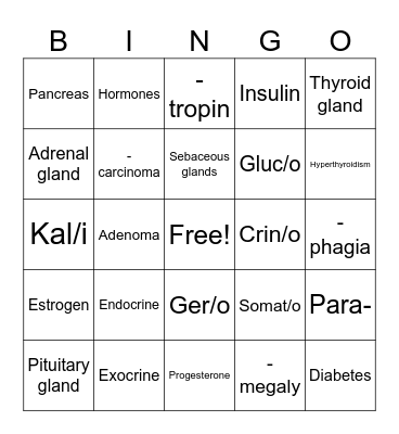 Endocrine System Bingo Card