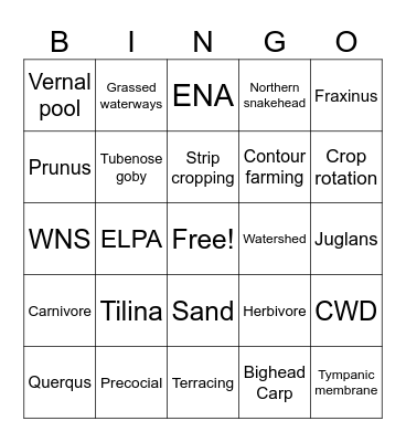 Board One Bingo Card