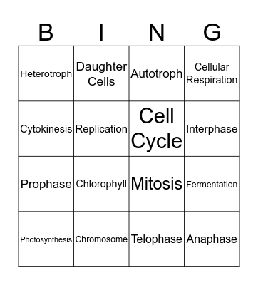 Cell Processes and Energy Bingo Card
