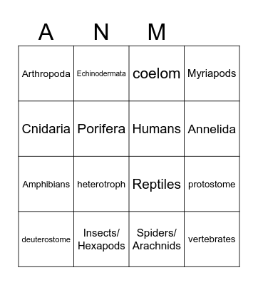 Animal Bingo Card