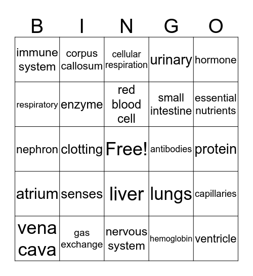 human bingo Card