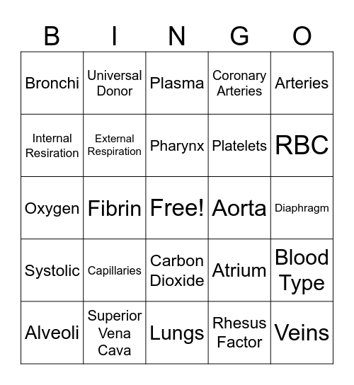 Cardiovascular and Respiratory Systems Bingo Card