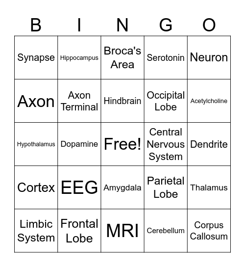 Biospychology Bingo Card