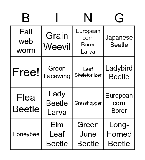 E-L Chewing Insects Bingo Card