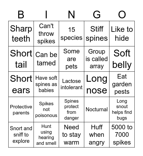 Hedgehog Fact BINGO! Bingo Card