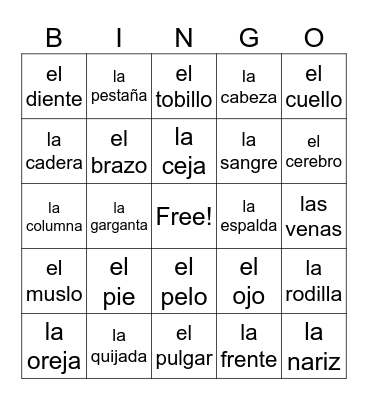 Las partes del cuerpo! Bingo Card