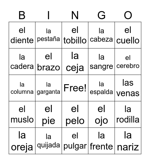 Las partes del cuerpo! Bingo Card